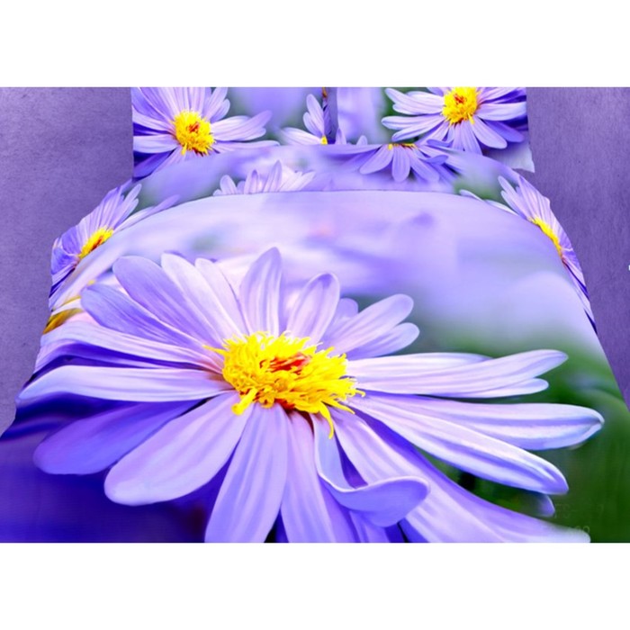 КПБ евро, размер 220х245 см, 200х220 см, 70х70 см-2 шт, 50х70 см-2 шт, сатин TS04-FS629