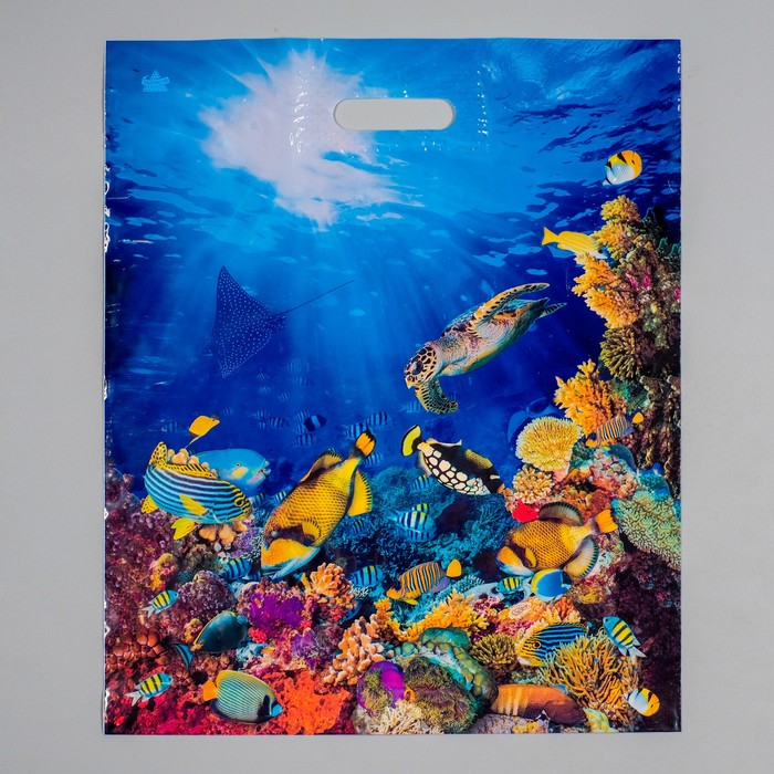 Пакет "Риф", полиэтиленовый с вырубной ручкой, 45 х 38 см, 60 мкм