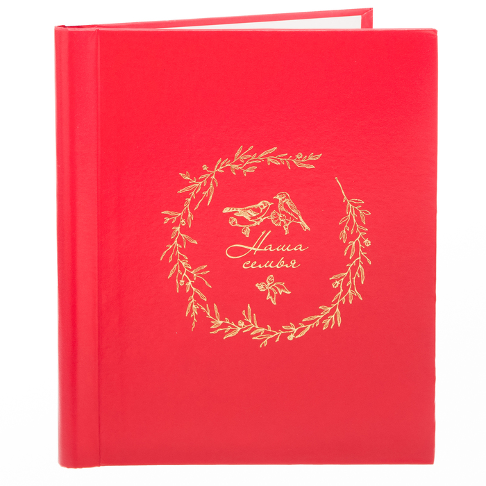 Фотоальбом "Наша семья", экокожа, 20 магнитных листов