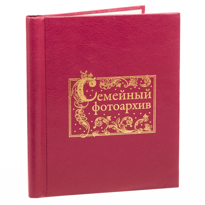 Фотоальбом "Семейный фотоархив", экокожа, 20 магнитных листов