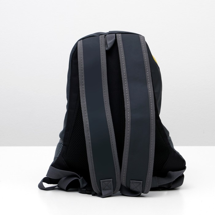 Рюкзак для переноски животных с креплением на талию, 31 х 15 х 39 см, желтый