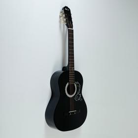 

Акустическая гитара Phil Pro AS - 39 / BLK