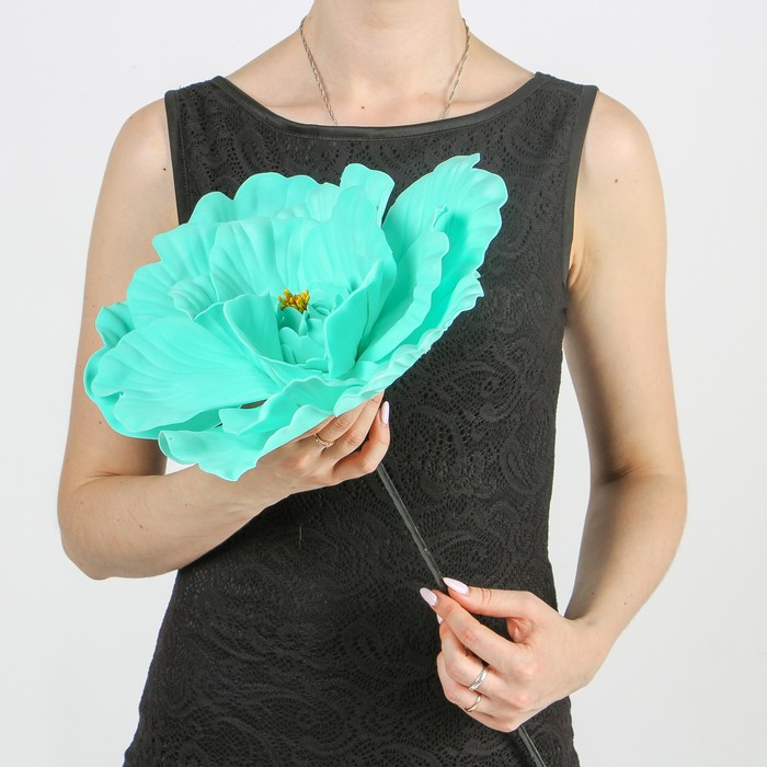 Цветы для фотосессий "Астра" мятная 30х30х40 см