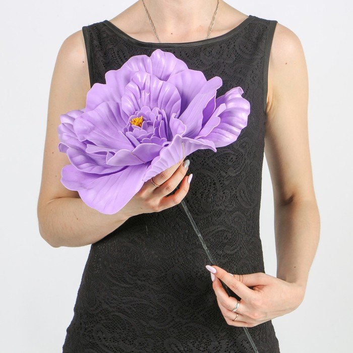 Цветы для фотосессий "Астра" сиреневая 30х30х40 см