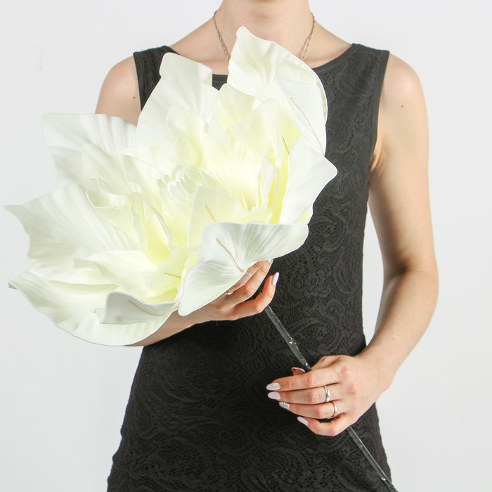 Цветы для фотосессий "Астра" белая 50х50х40 см