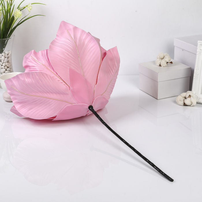 Цветы для фотосессий "Астра" розовая 50х50х40 см