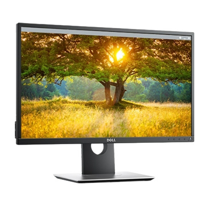 Монитор Dell 23.8" P2417H IPS LED 16:9 HDMI HAS Pivot 250cd 178/178 1920x1080 D-Sub DP USB