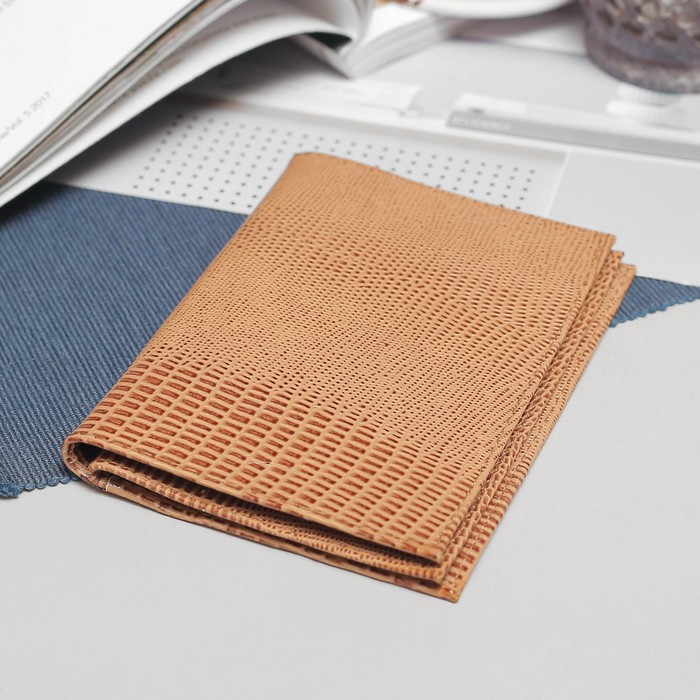 Обложка для автодокументов и паспорта, с хлястиком, ящерица, цвет бежевый