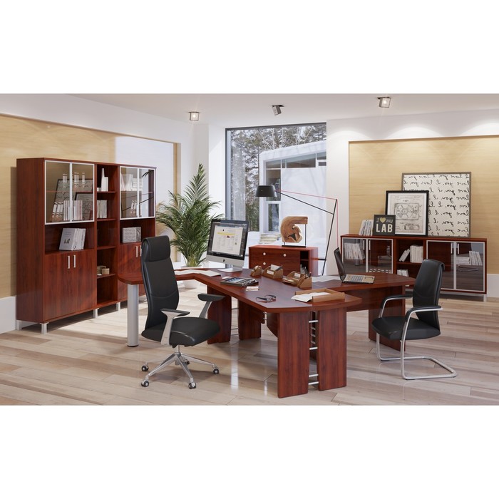 Шкаф-колонка высокая с глухой малой дверью BORN B 431.2(R), бургунди