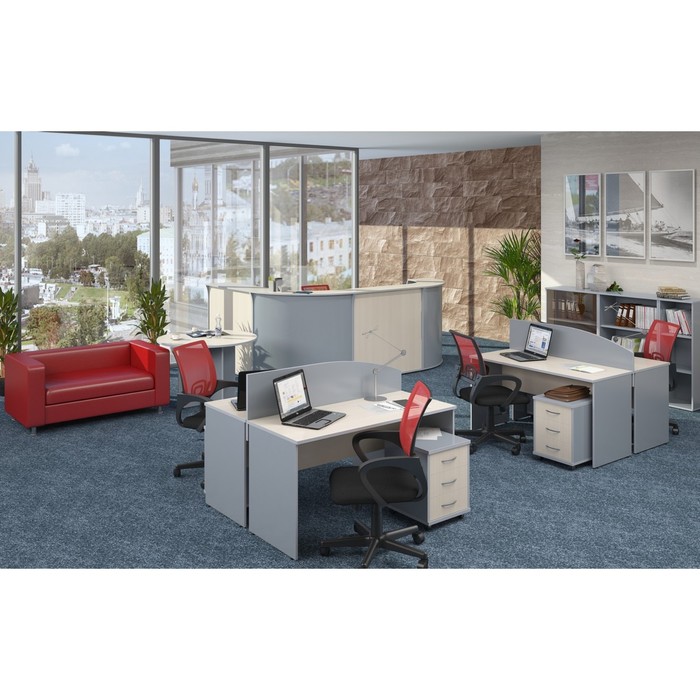 Шкаф с глухими дверьми IMAGO СТ-1.9, клён/металлик