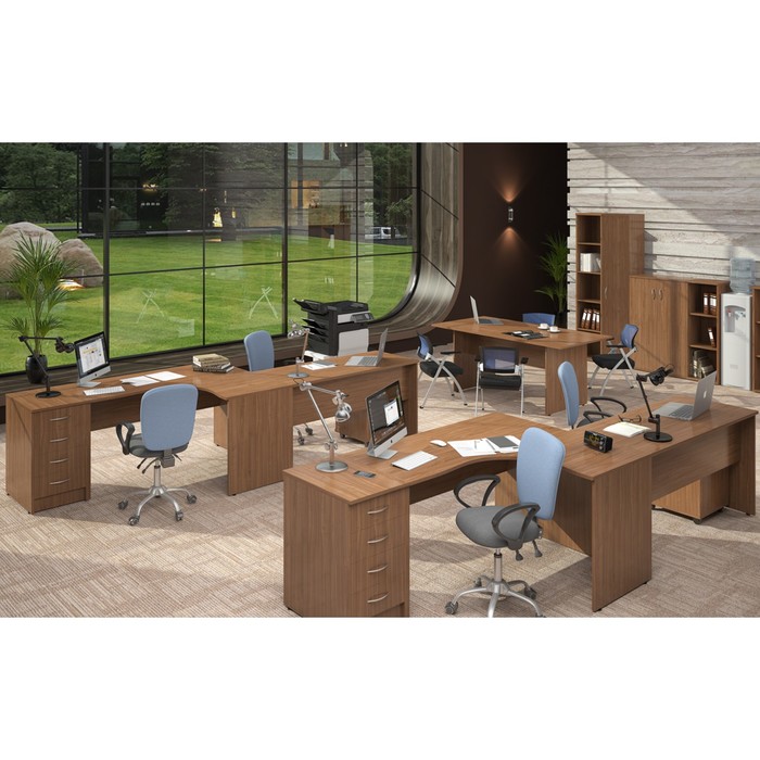 Шкаф с глухими дверьми IMAGO СТ-1.9, орех французcкий