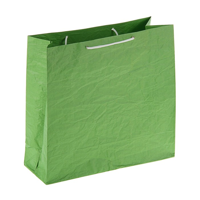 Пакет из эколюкса, цвет МИКС, 31 х 30 х 12 см