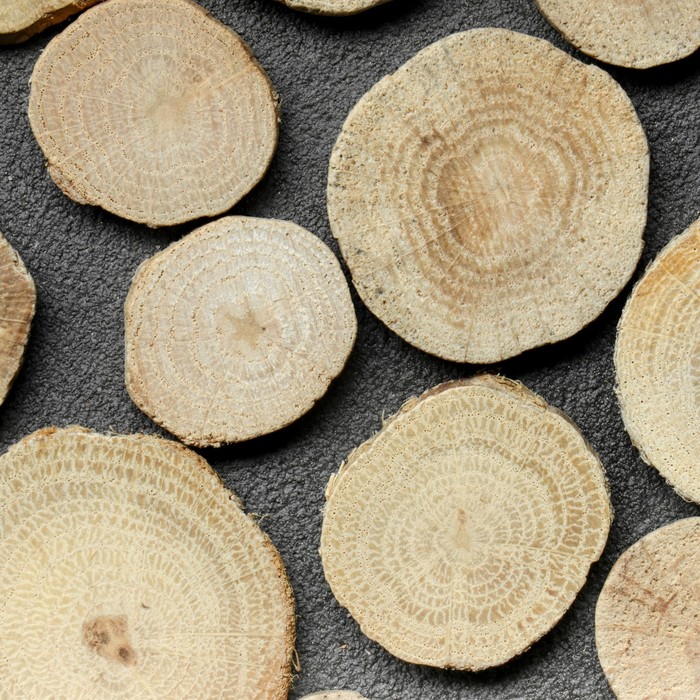 Спил "Дубовый премиум", круглый, d=3-4 см, h= 3,5 мм