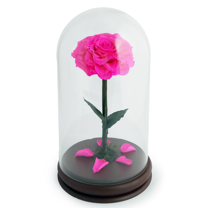 Композиция в стекле "Красавица и чудовище" в куполе, ярко-розовый, 10 х 10 х 20