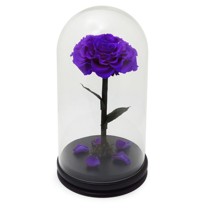 Композиция в стекле "Красавица и чудовище" в куполе, лиловый, 10 х 10 х 20