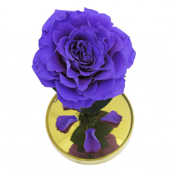 Композиция в стекле "Красавица и чудовище" в куполе, лиловый, 10 х 10 х 20