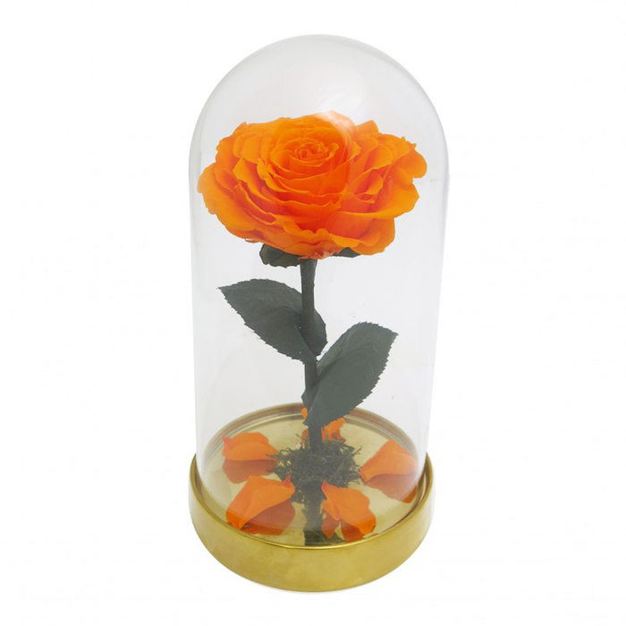 Композиция в стекле "Красавица и чудовище" в куполе, оранжевый, 10 х 10 х 20