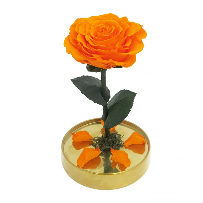 Композиция в стекле "Красавица и чудовище" в куполе, оранжевый, 10 х 10 х 20