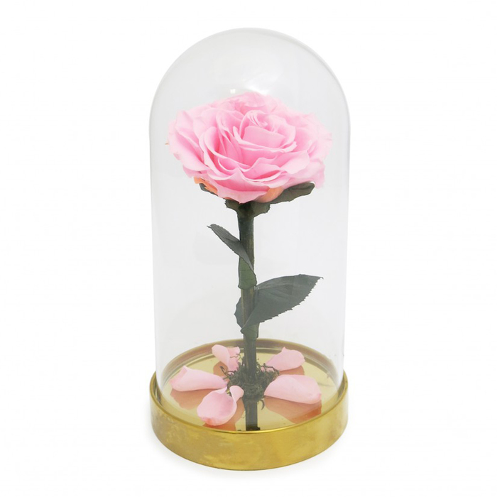 Композиция в стекле "Красавица и чудовище" в куполе, розовый, 10 х 10 х 20