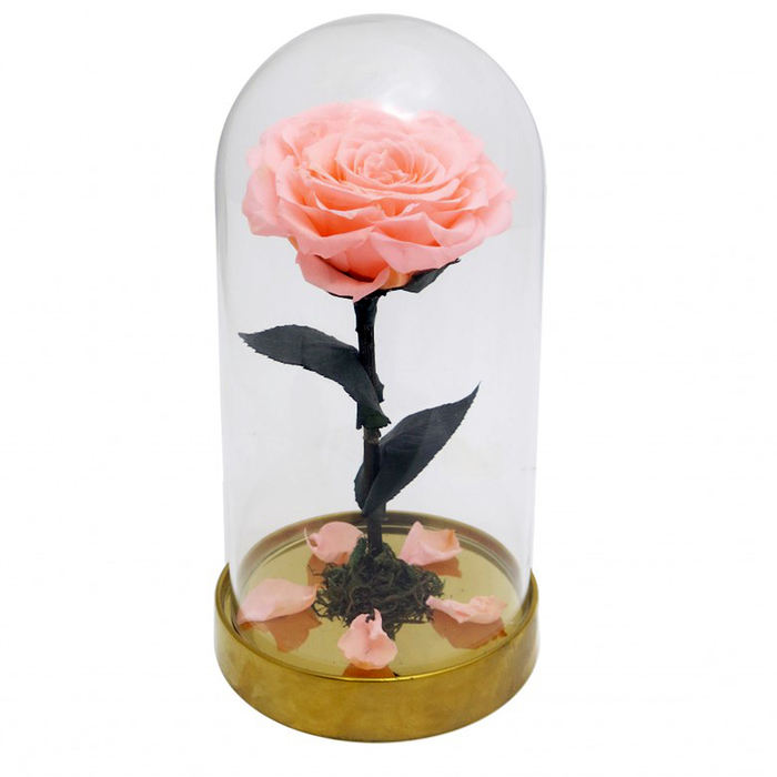 Композиция в стекле "Красавица и чудовище" в куполе, персиковый, 10 х 10 х 20