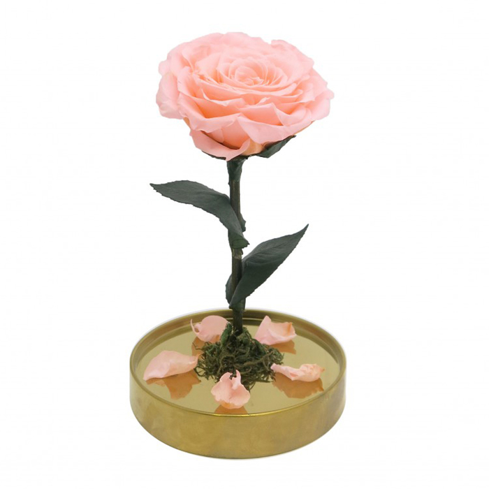 Композиция в стекле "Красавица и чудовище" в куполе, персиковый, 10 х 10 х 20