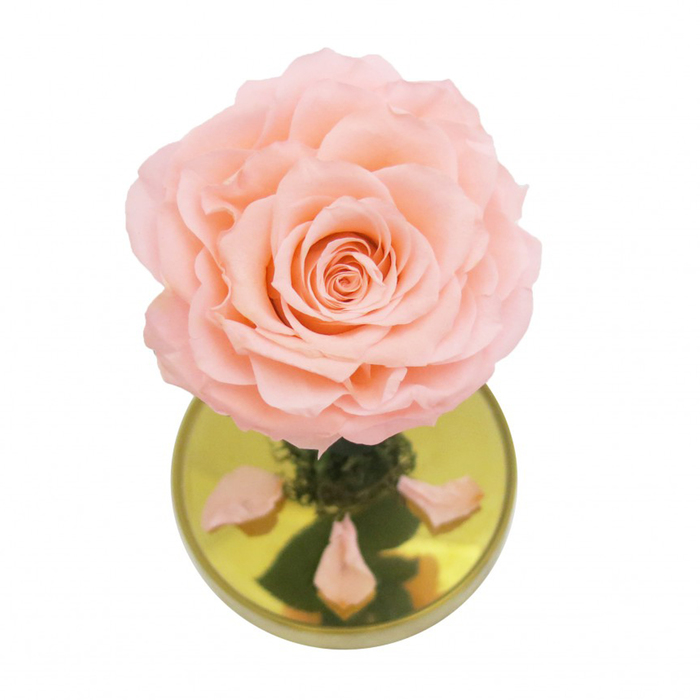 Композиция в стекле "Красавица и чудовище" в куполе, персиковый, 10 х 10 х 20