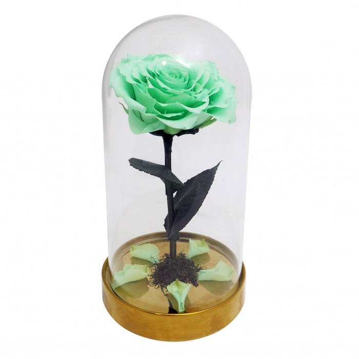 Композиция в стекле "Красавица и чудовище" в куполе, фисташковый, 10 х 10 х 20