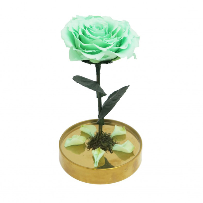 Композиция в стекле "Красавица и чудовище" в куполе, фисташковый, 10 х 10 х 20