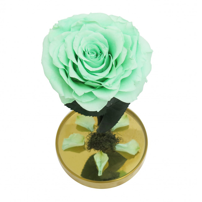 Композиция в стекле "Красавица и чудовище" в куполе, фисташковый, 10 х 10 х 20