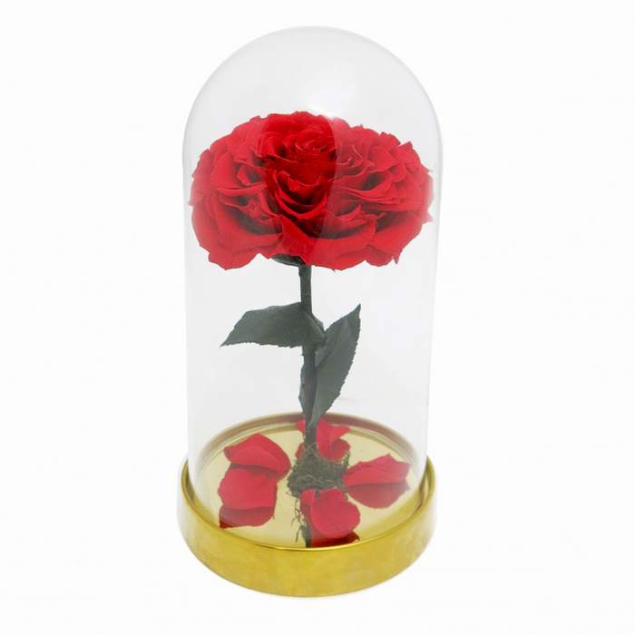 Композиция в стекле "Красавица и чудовище" в куполе, красный, 10 х 10 х 20