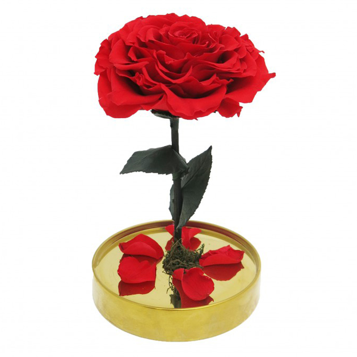 Композиция в стекле "Красавица и чудовище" в куполе, красный, 10 х 10 х 20