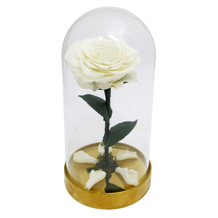 Композиция в стекле "Красавица и чудовище" в куполе, белый, 10 х 10 х 20