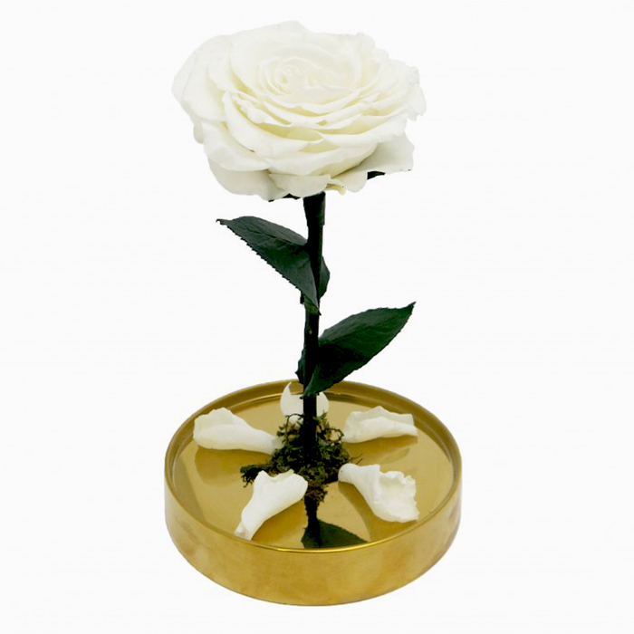 Композиция в стекле "Красавица и чудовище" в куполе, белый, 10 х 10 х 20