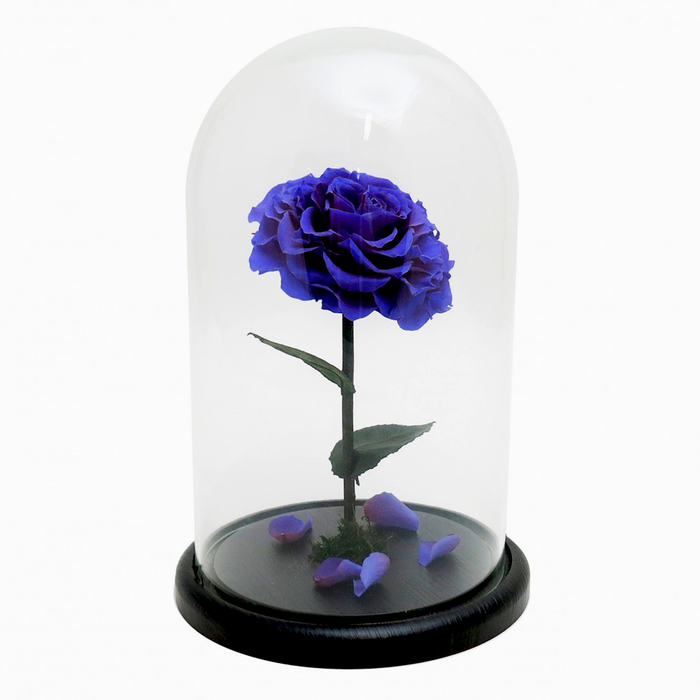 Композиция в стекле "Красавица и чудовище" в куполе, лиловый, 10 х 10 х 20