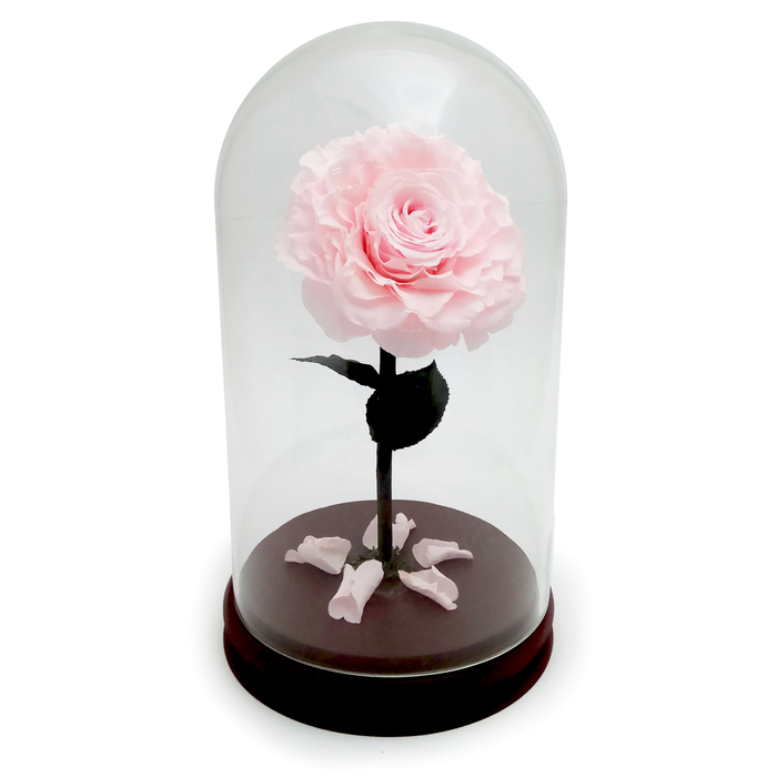 Композиция в стекле "Красавица и чудовище" в куполе, светло-розовый, 16 х 16 х 26 см