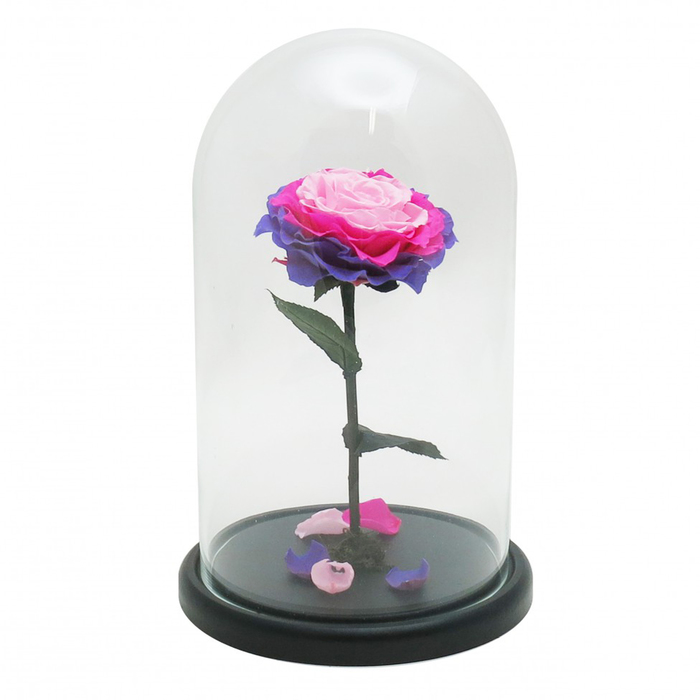 Композиция в стекле "Красавица и чудовище" в куполе, ярко-розовый, розовый, 16 х 16 х 26