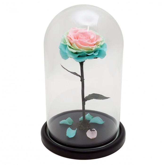 Композиция в стекле "Красавица и чудовище" в куполе, фисташковый, персиковый, 16 х 16 х 26