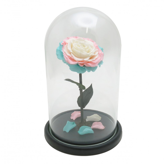 Композиция в стекле "Красавица и чудовище" в куполе, розовый, белый, 16 х 16 х 26