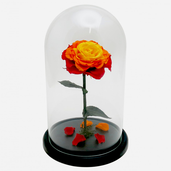 Композиция в стекле "Красавица и чудовище" в куполе, оранжевый, жёлтый, 16 х 16 х 26