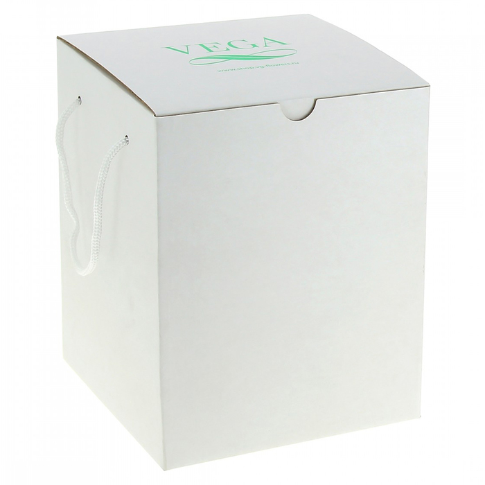 Композиция в вазе, розы оранжевые, 13 х 13 х 18 см