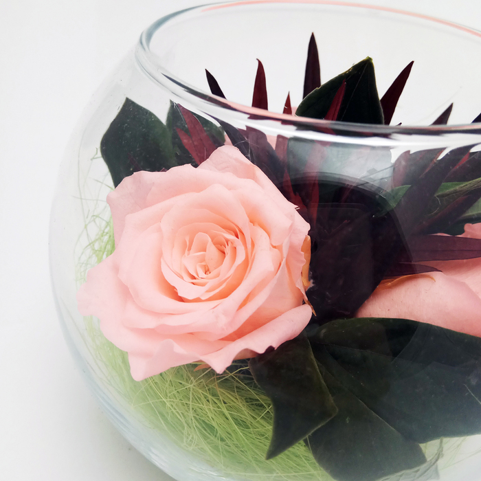 Композиция в вазе, розы персиковые, 12 х 12 х 10 см