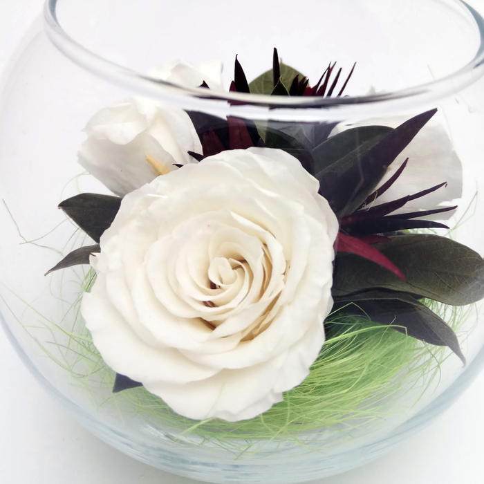 Композиция в вазе, розы белые, 12 х 12 х 10 см