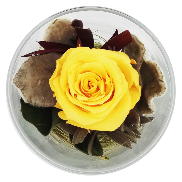Композиция в стеклянном стакане, роза желтая, 7,1 х 7,1 х 8,3