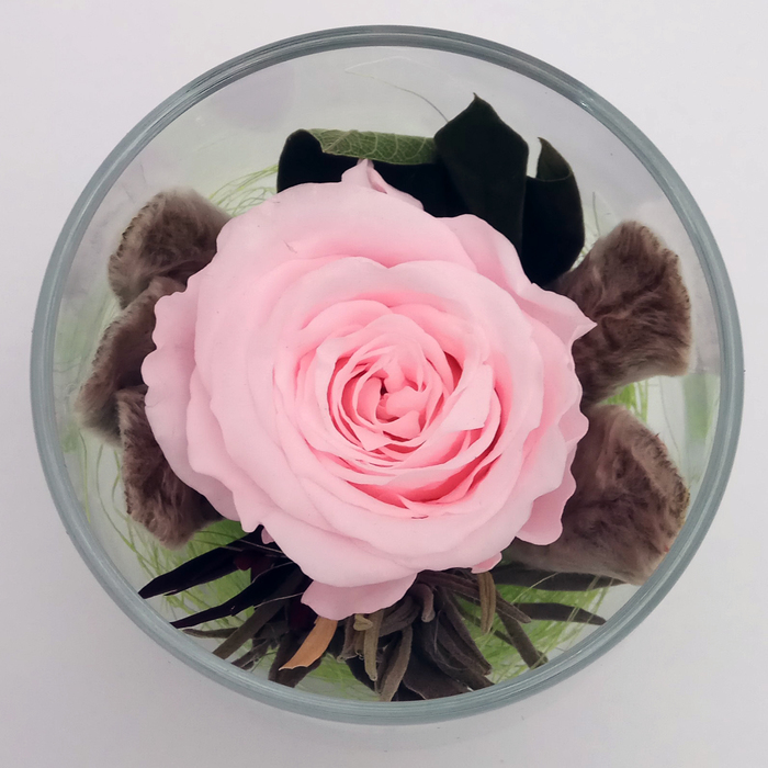 Композиция в стеклянном стакане, роза светло-розовая, 9 х 9 х 10,5 см