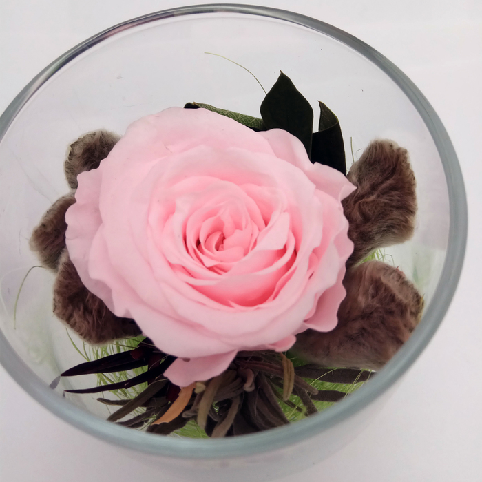 Композиция в стеклянном стакане, роза светло-розовая, 9 х 9 х 10,5 см
