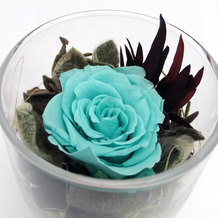 Композиция в стеклянном стакане, роза голубая, 9 х 9 х 10,5 см