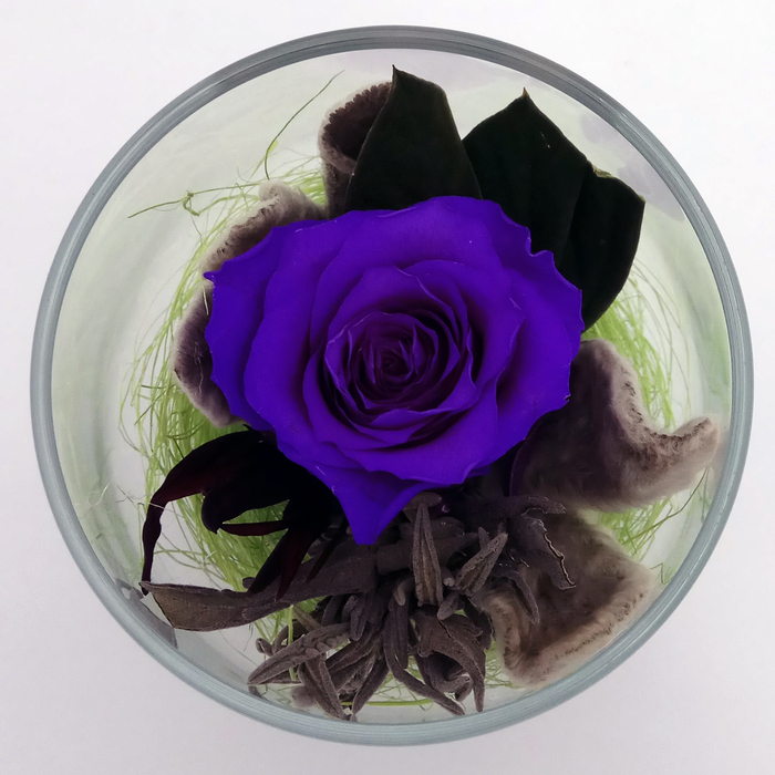 Композиция в стеклянном стакане, роза лиловая, 9 х 9 х 10,5 см