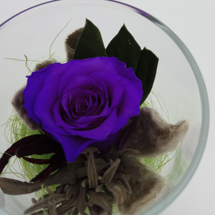 Композиция в стеклянном стакане, роза лиловая, 9 х 9 х 10,5 см