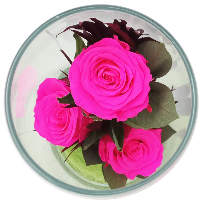 Композиция в вазе "Мунглинг", розы ярко-розовые, 10 х 10 х 25 см