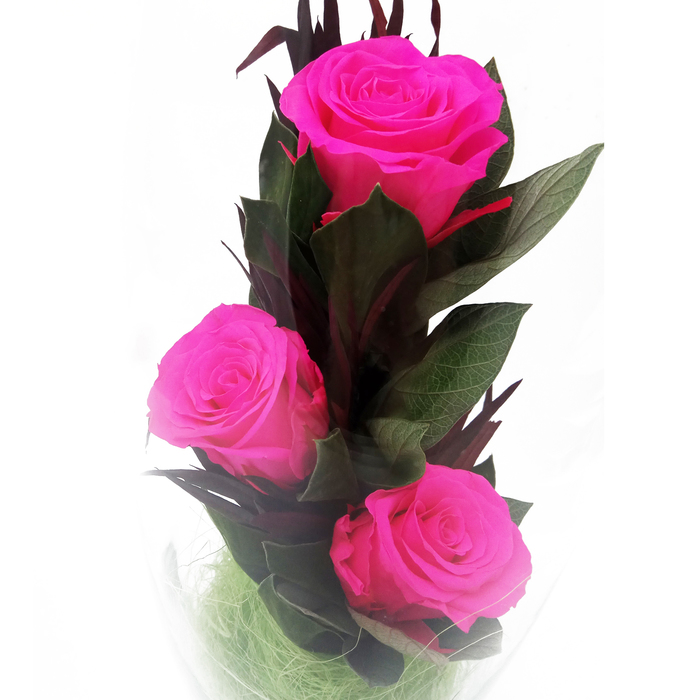 Композиция в вазе "Мунглинг", розы ярко-розовые, 10 х 10 х 25 см